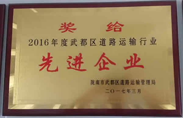 2016年度武都區(qū)道路運(yùn)輸行業(yè)先進(jìn)企業(yè)