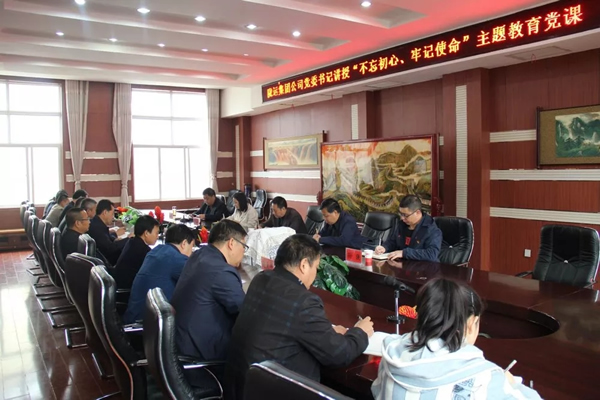 隴運(yùn)集團(tuán)公司召開(kāi)“不忘初心、牢記使命”主題教育專題黨課
