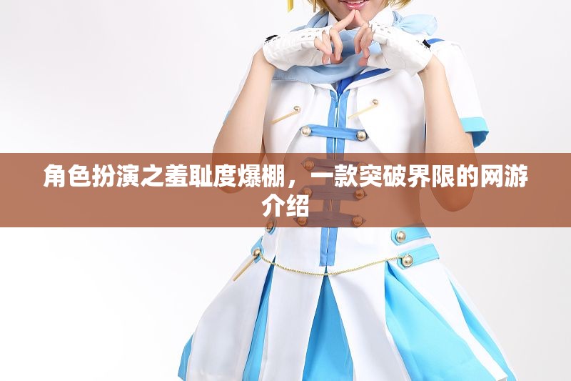 角色扮演之羞恥度爆棚，一款突破界限的網(wǎng)游介紹