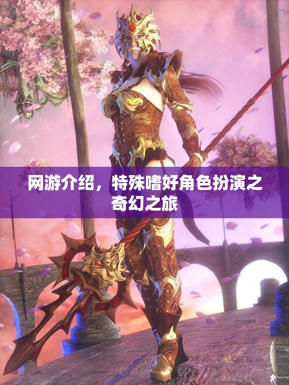 網游介紹，特殊嗜好角色扮演之奇幻之旅