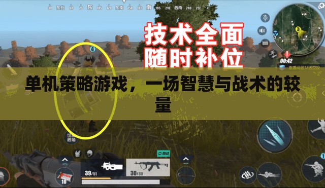 單機策略游戲，一場智慧與戰(zhàn)術(shù)的較量  第3張