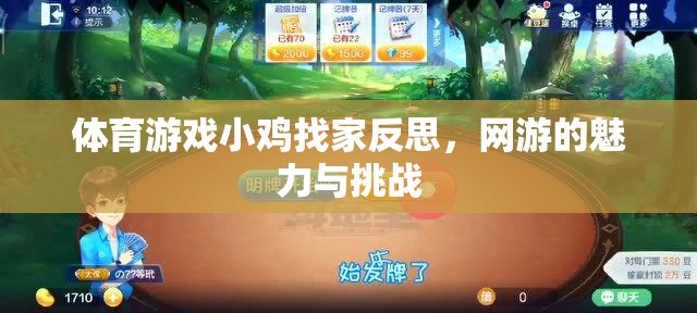 體育游戲小雞找家反思，網(wǎng)游的魅力與挑戰(zhàn)
