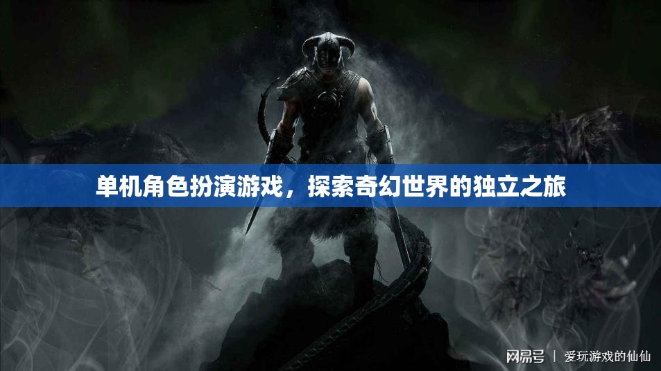 單機(jī)角色扮演游戲，探索奇幻世界的獨(dú)立之旅