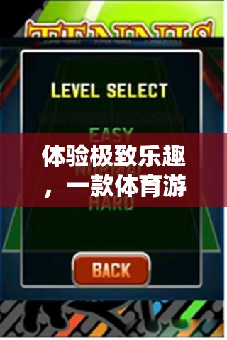 體驗極致樂趣，一款體育游戲網(wǎng)游的全方位介紹