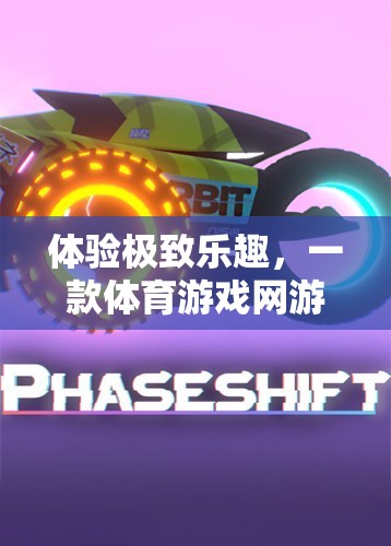 體驗極致樂趣，一款體育游戲網(wǎng)游的全方位介紹