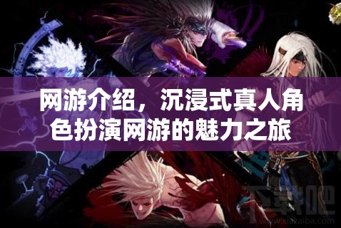 網(wǎng)游介紹，沉浸式真人角色扮演網(wǎng)游的魅力之旅  第1張