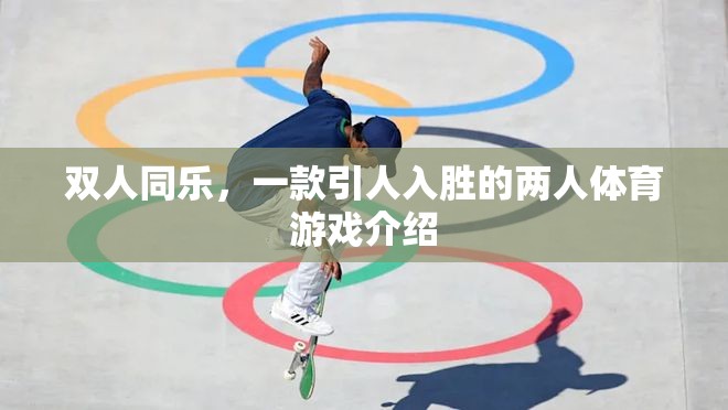 雙人同樂(lè)，一款引人入勝的兩人體育游戲介紹