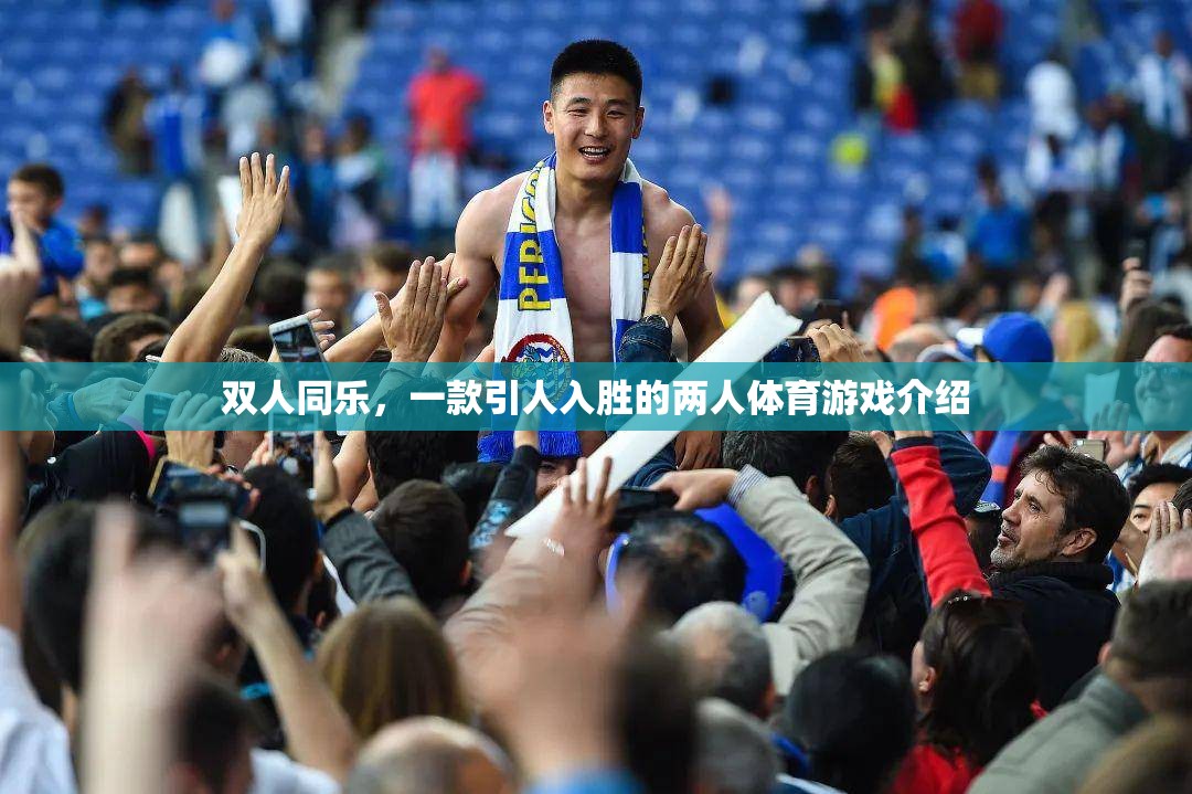 雙人同樂(lè)，一款引人入勝的兩人體育游戲介紹