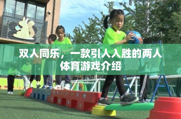 雙人同樂(lè)，一款引人入勝的兩人體育游戲介紹