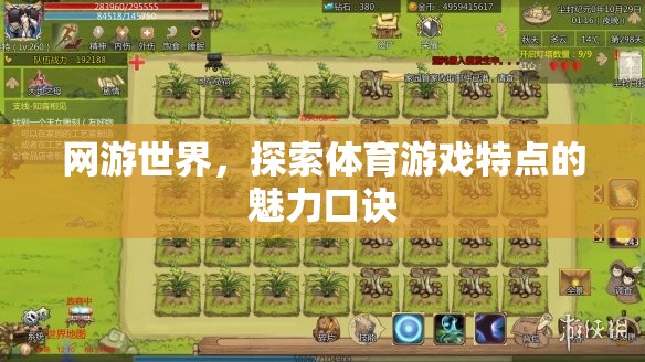 網(wǎng)游世界，探索體育游戲特點的魅力口訣