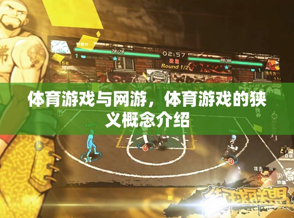 體育游戲與網(wǎng)游，體育游戲的狹義概念介紹