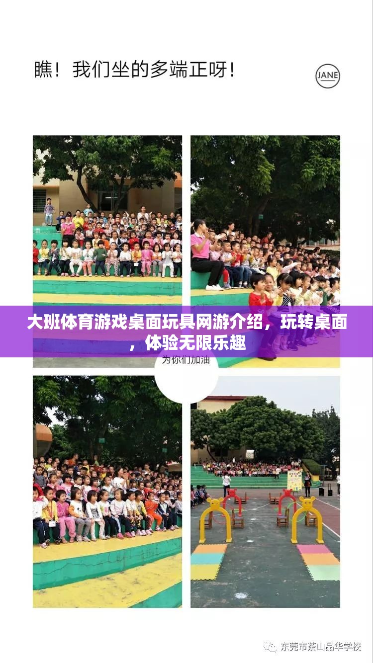 大班體育游戲桌面玩具網(wǎng)游介紹，玩轉(zhuǎn)桌面，體驗(yàn)無限樂趣