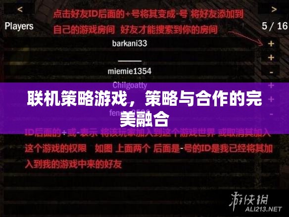 聯(lián)機(jī)策略游戲，策略與合作的完美融合  第2張