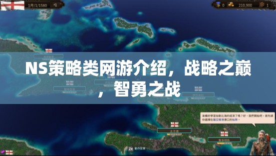 NS策略類網(wǎng)游介紹，戰(zhàn)略之巔，智勇之戰(zhàn)  第3張