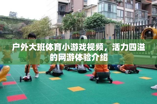 戶外大班體育小游戲視頻，活力四溢的網(wǎng)游體驗介紹