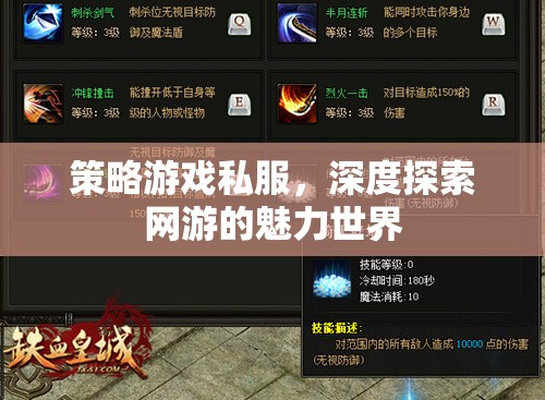 策略游戲私服，深度探索網(wǎng)游世界的魅力