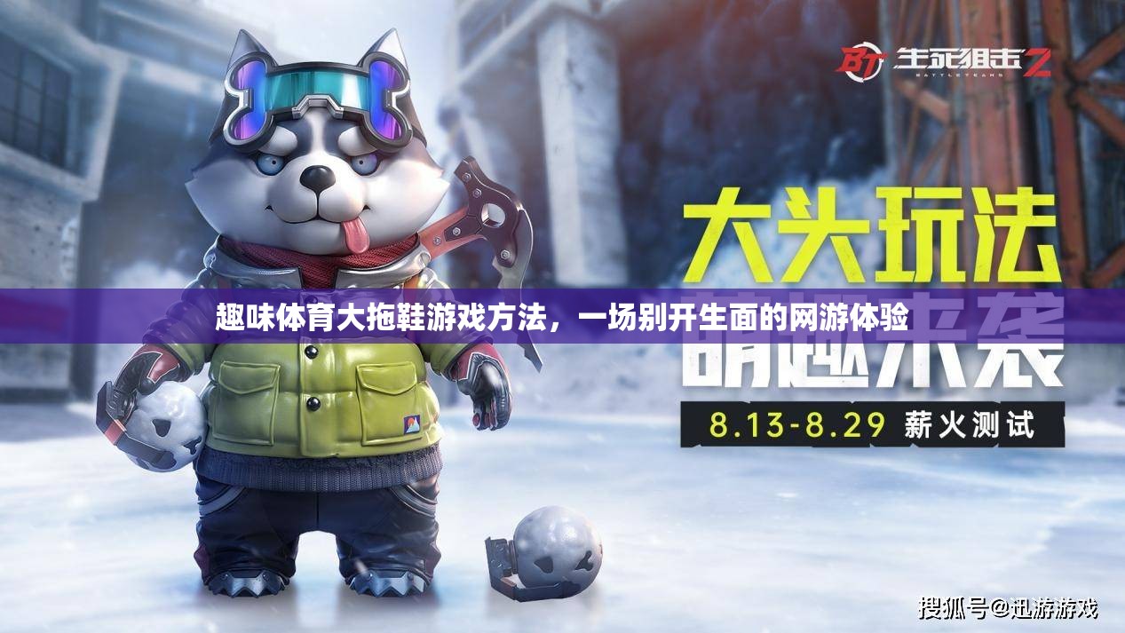 趣味體育大拖鞋游戲方法，一場別開生面的網(wǎng)游體驗  第2張