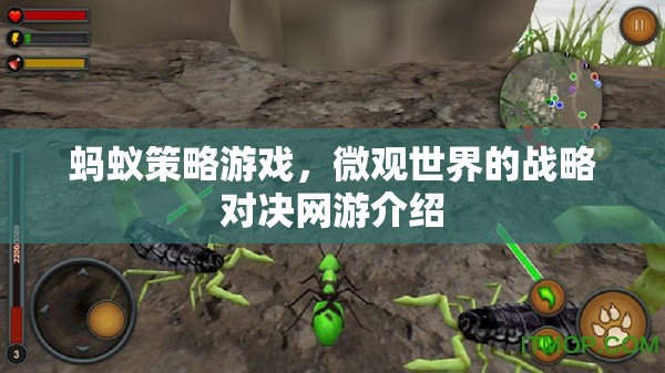 螞蟻策略游戲，微觀世界的戰(zhàn)略對決網(wǎng)游介紹