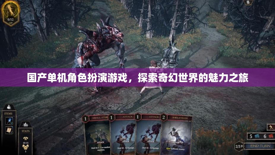 國(guó)產(chǎn)單機(jī)角色扮演游戲，探索奇幻世界的魅力之旅