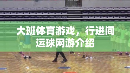 大班體育游戲，行進間運球網(wǎng)游介紹