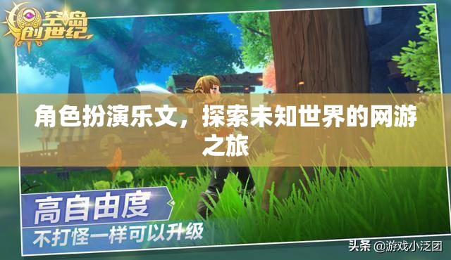 角色扮演樂(lè)文，未知網(wǎng)游世界的探索之旅  第2張