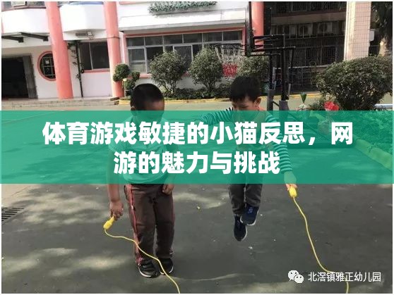 體育游戲敏捷的小貓反思，網(wǎng)游的魅力與挑戰(zhàn)