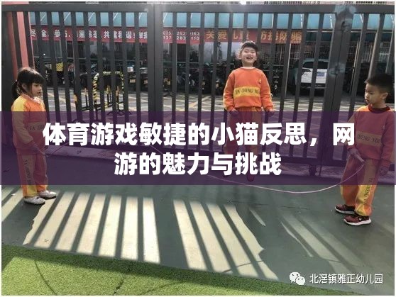 體育游戲敏捷的小貓反思，網(wǎng)游的魅力與挑戰(zhàn)
