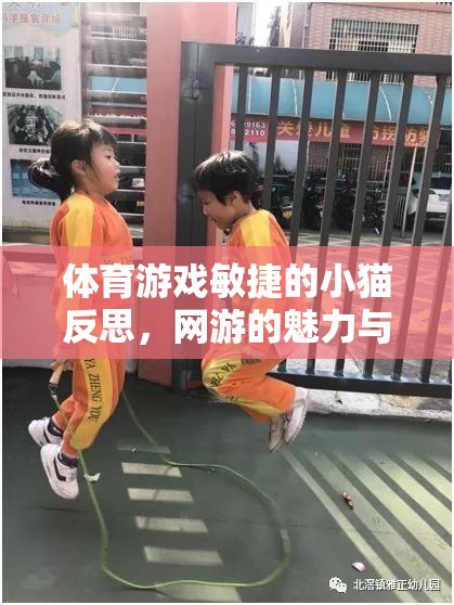 體育游戲敏捷的小貓反思，網(wǎng)游的魅力與挑戰(zhàn)
