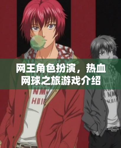 網(wǎng)王角色扮演，熱血網(wǎng)球之旅游戲介紹