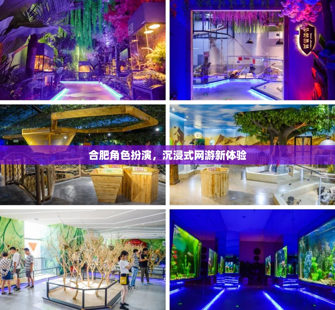 合肥角色扮演，沉浸式網(wǎng)游新體驗  第2張