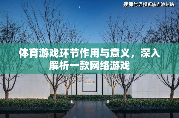 體育游戲環(huán)節(jié)作用與意義，深入解析一款網(wǎng)絡(luò)游戲
