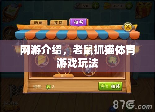網(wǎng)游介紹，老鼠抓貓?bào)w育游戲玩法