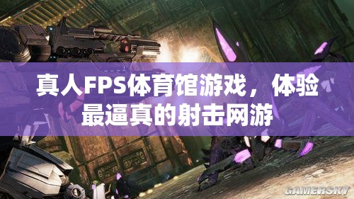 真人FPS體育館游戲，體驗(yàn)最逼真的射擊網(wǎng)游