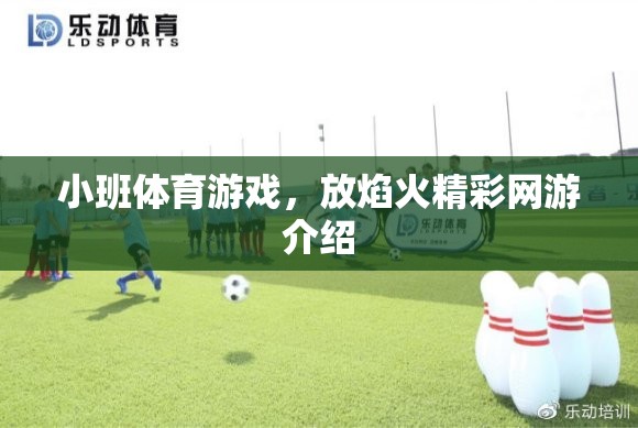 小班體育游戲，放焰火精彩網(wǎng)游介紹