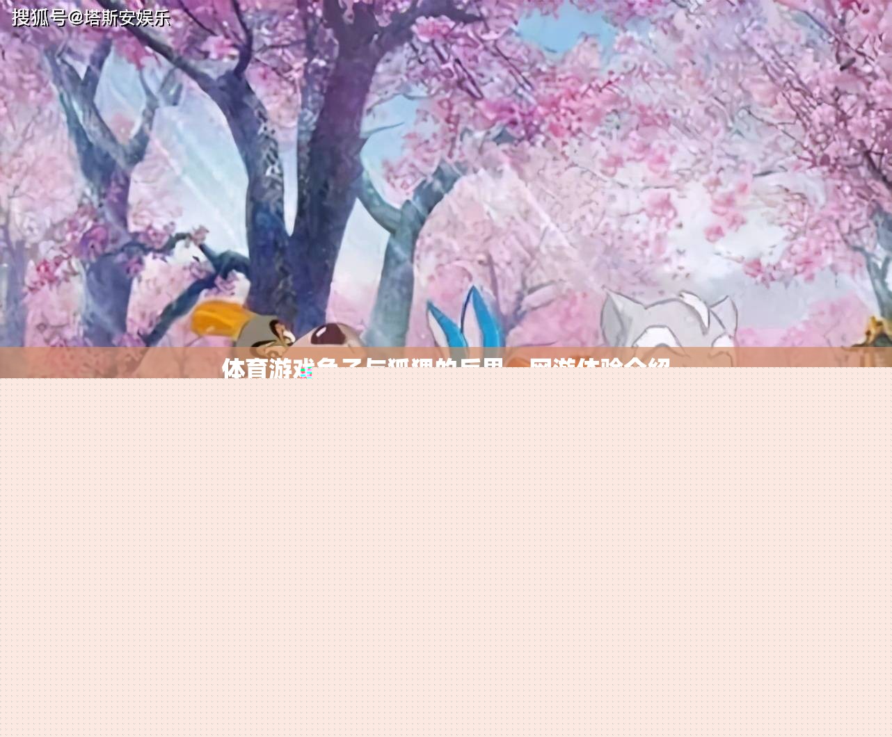 體育游戲兔子與狐貍的反思，網(wǎng)游體驗介紹