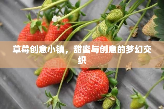 草莓創(chuàng)意小鎮(zhèn)，甜蜜與創(chuàng)意的夢(mèng)幻碰撞