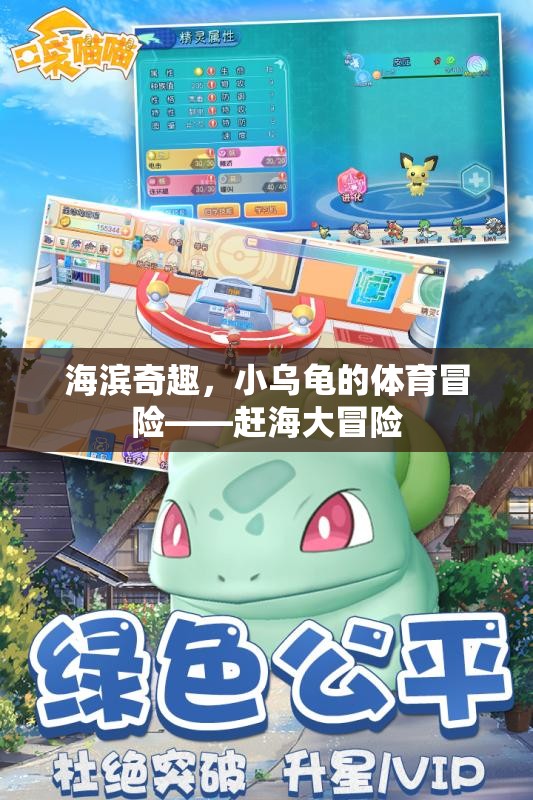 海濱奇趣，小烏龜?shù)内s海大冒險(xiǎn)