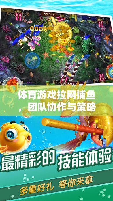 拉網(wǎng)捕魚，團隊協(xié)作與策略并重的體育游戲歡樂盛宴