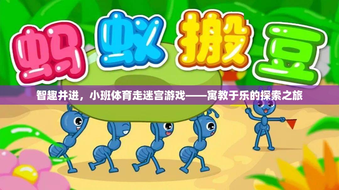 智趣并進，小班體育走迷宮游戲——寓教于樂的探索之旅