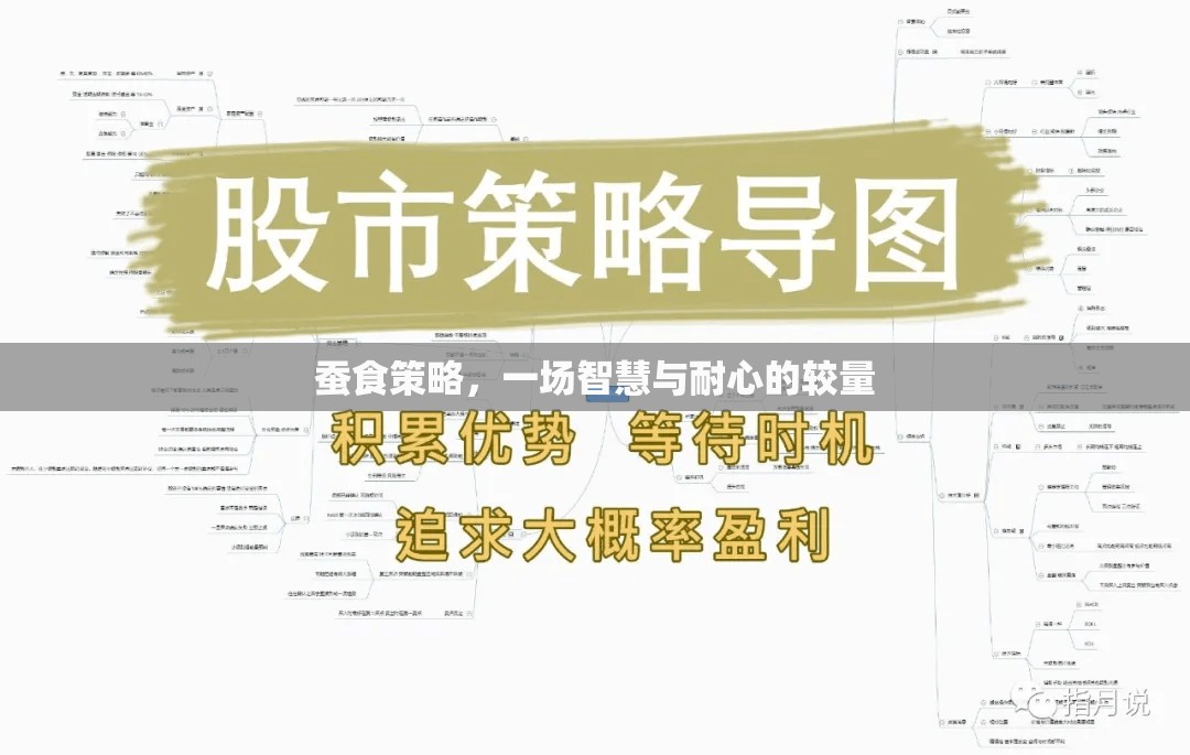 智慧與耐心的較量，蠶食策略的深度解析