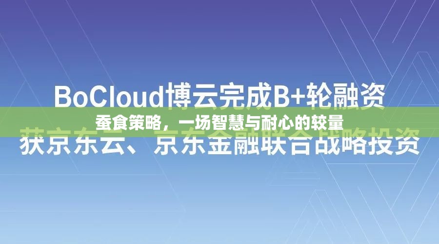 智慧與耐心的較量，蠶食策略的深度解析