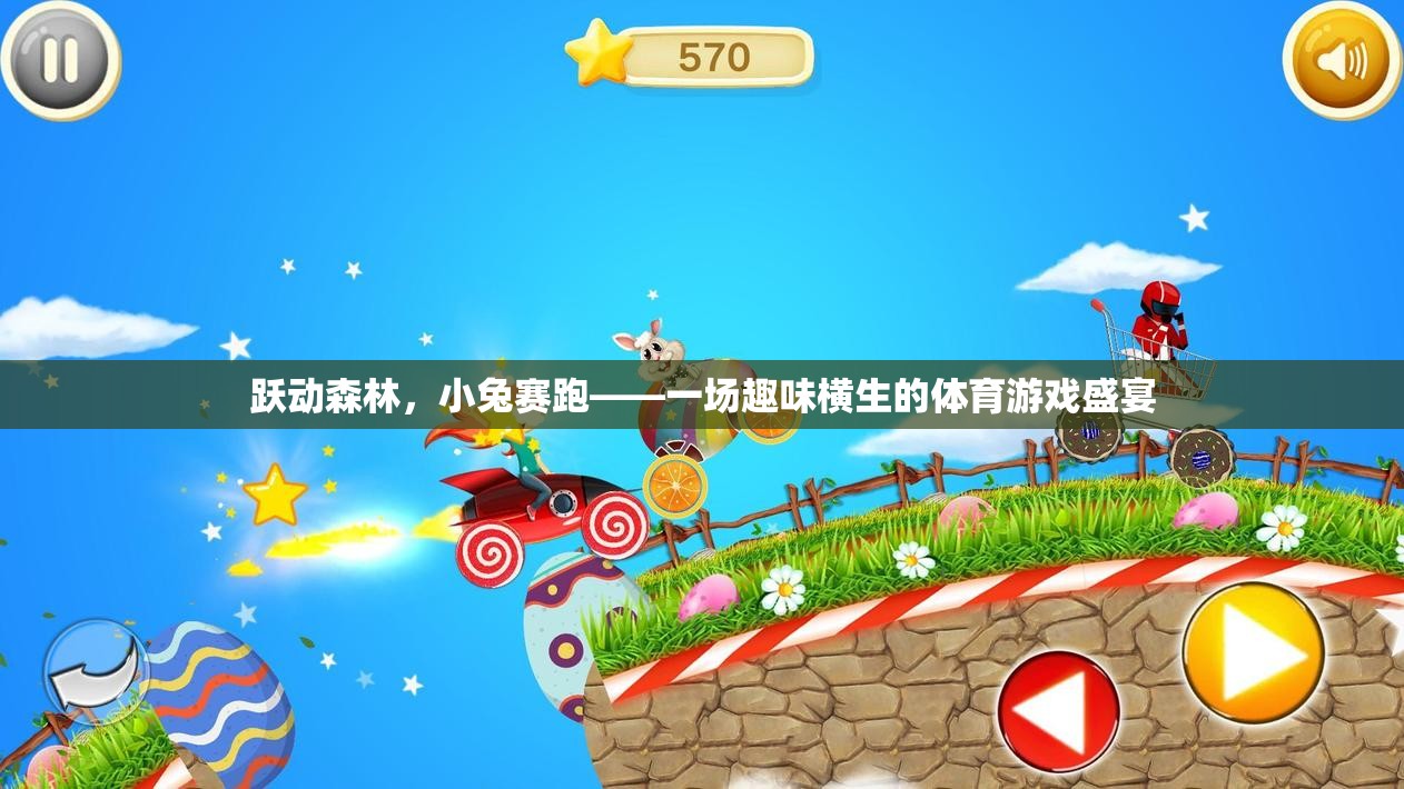 躍動森林，小兔賽跑，一場趣味橫生的體育游戲盛宴