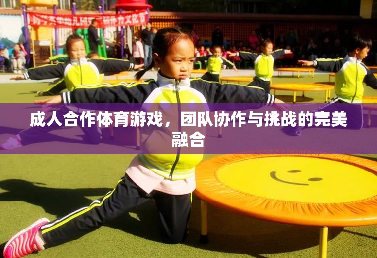 成人合作體育游戲，團(tuán)隊協(xié)作與挑戰(zhàn)的完美融合  第2張