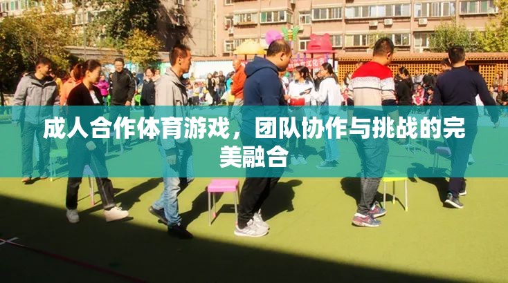 成人合作體育游戲，團(tuán)隊協(xié)作與挑戰(zhàn)的完美融合  第3張