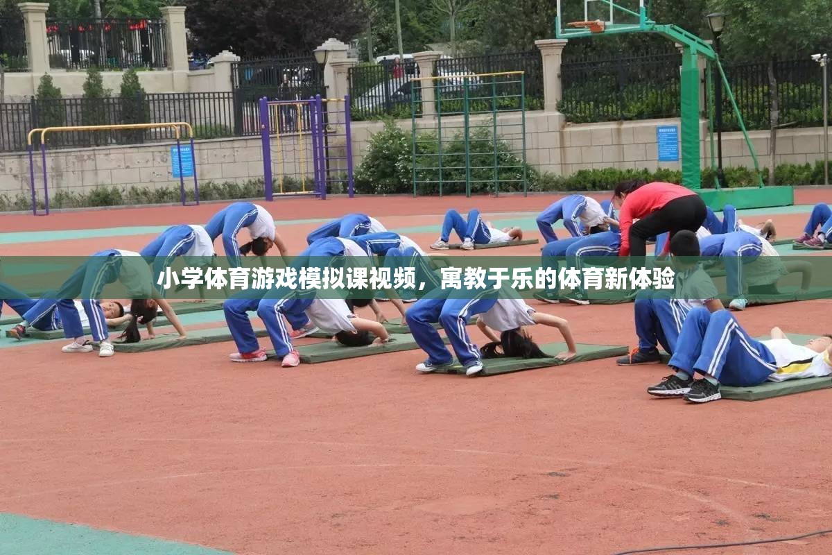 寓教于樂，小學(xué)體育游戲模擬課視頻的全新體驗