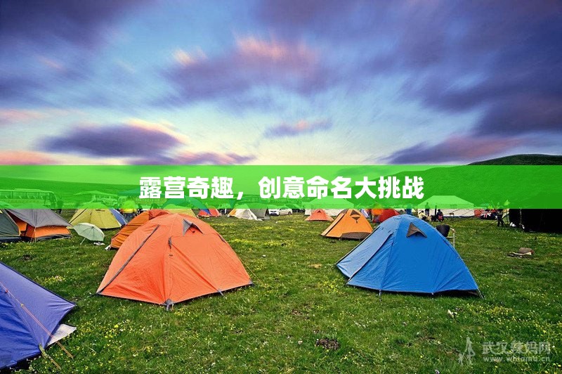 露營(yíng)奇趣，創(chuàng)意命名大挑戰(zhàn)