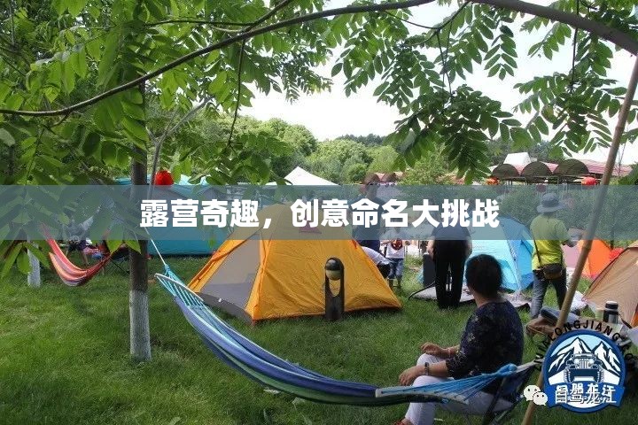 露營(yíng)奇趣，創(chuàng)意命名大挑戰(zhàn)