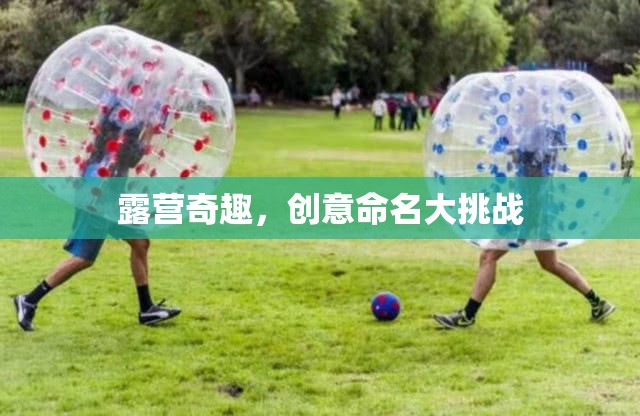 露營(yíng)奇趣，創(chuàng)意命名大挑戰(zhàn)