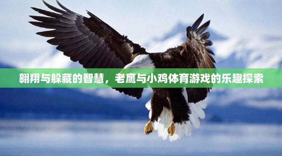 老鷹與小雞，體育游戲中的翱翔與躲藏智慧