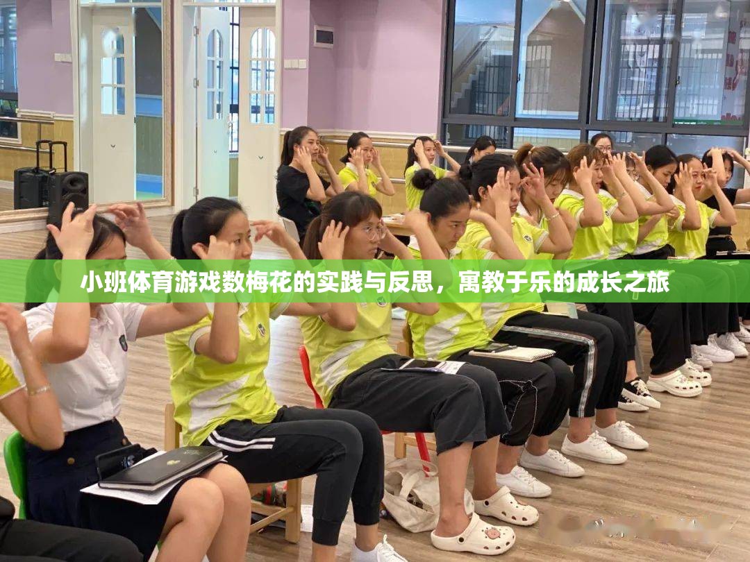 數(shù)梅花，小班體育游戲中的寓教于樂實(shí)踐與反思